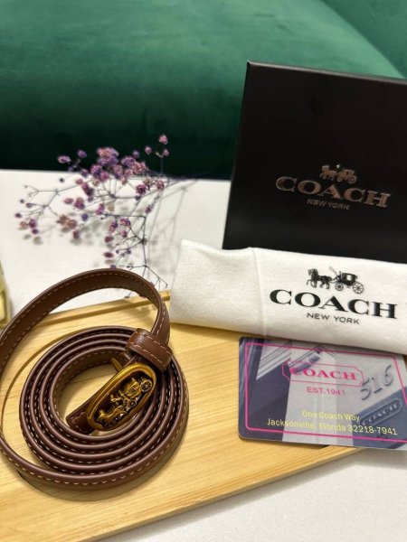 قشط  COACH شامل العلبه ماستر كولتي